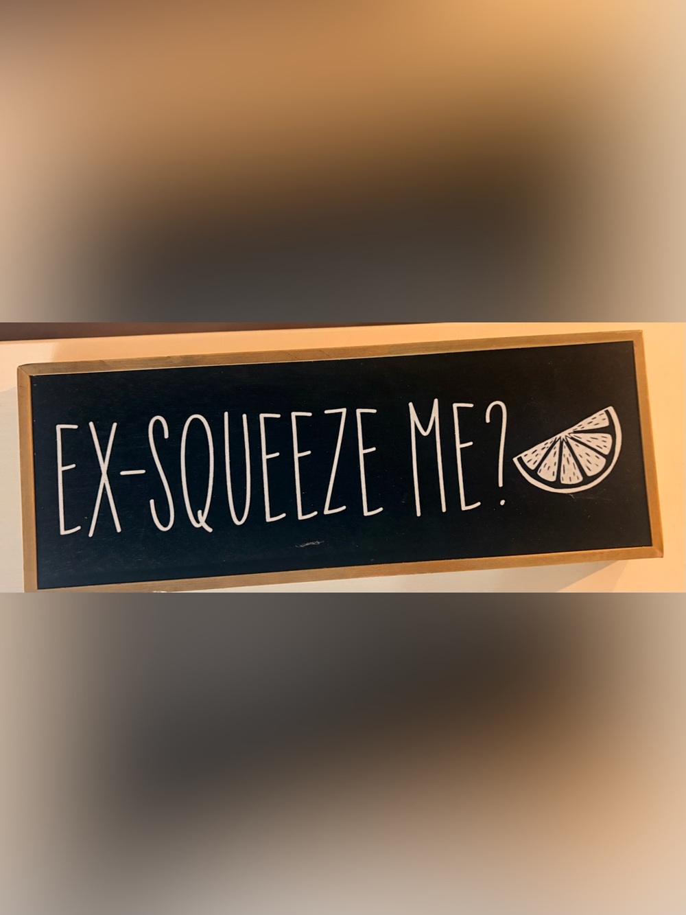 Ex-Squeeze Me Black Framed Wood Wall or Table Sign - Rustic Home Accent